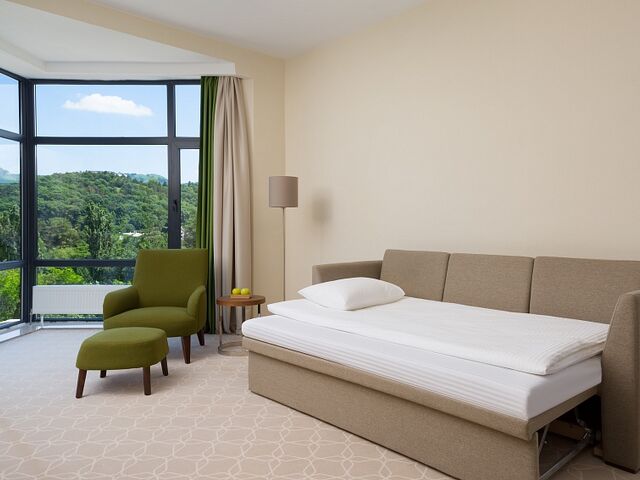Люкс 2-местный 2-комнатный — номер в отеле Green Resort Hotel & Spa, Кисловодск