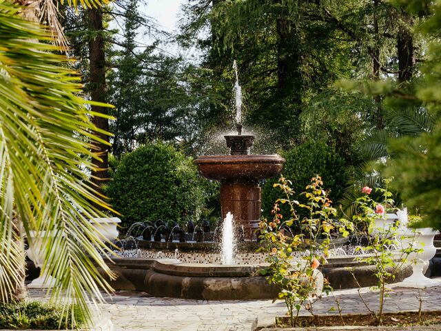 Территория — отель Amra Park-Hotel & Spa, Абхазия, фото 97