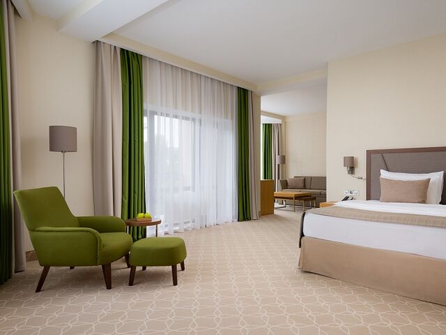 Deluxe 2-местный 1-комнатный — отель Green Resort Hotel & Spa, Кисловодск