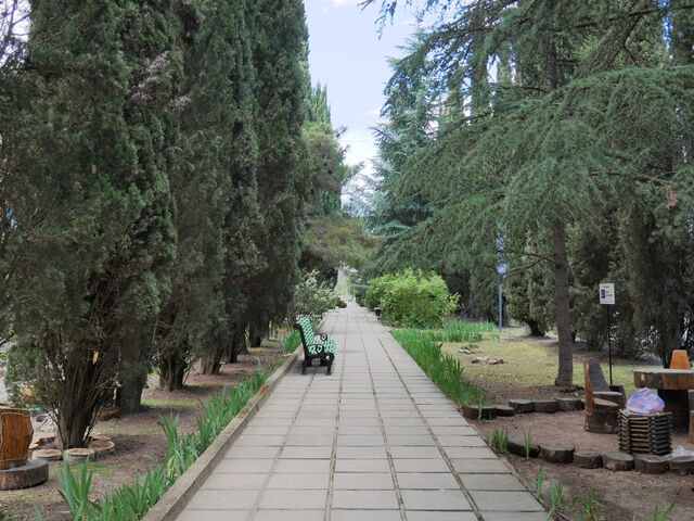 Санаторий Славутич в Алуште, фото 81