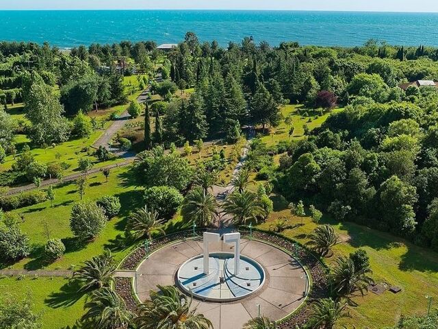 Абхазия, пансионат Самшитовая роща, фото 63
