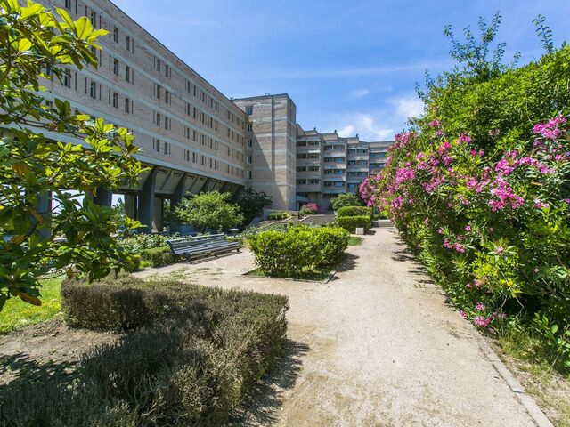Санаторий Южнобережный Ялта, фото 15