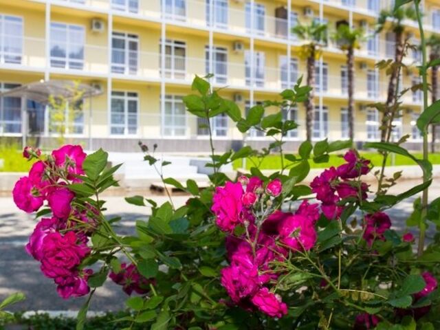 Отель Wellness ParkHotel Gagra, Абхазия, фото 22