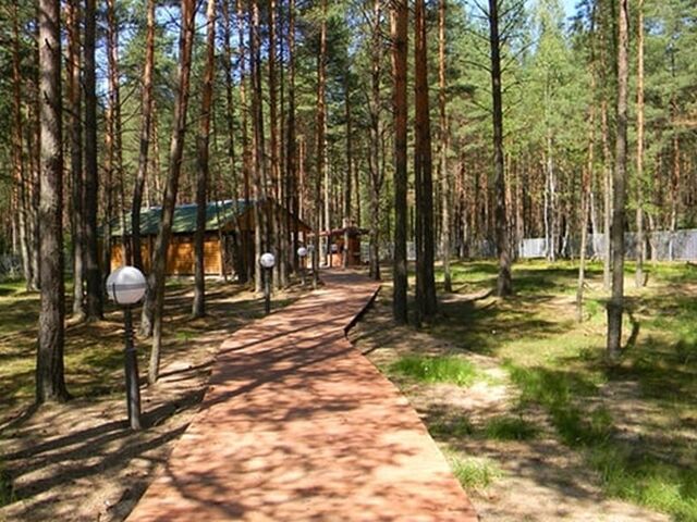 Санаторий Радуга Белоруссия, фото 15