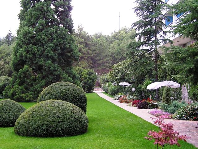 Санаторий Айвазовское Алушта, фото 15