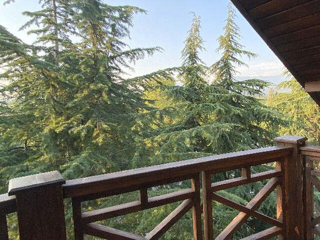 Отель Art Hotel на Октябрьской, Абхазия, фото 7