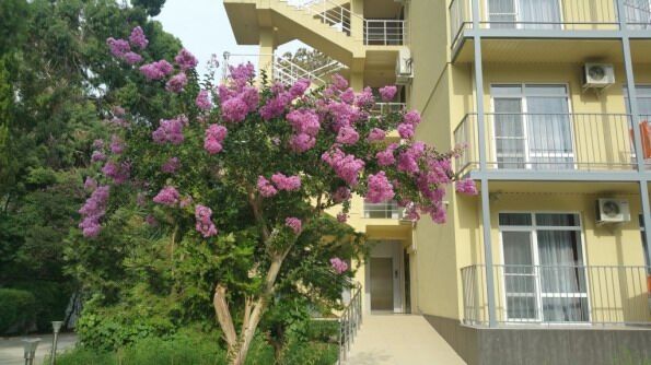 Отель Wellness ParkHotel Gagra в Абхазии