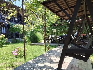 Территория — отель Анхара в Абхазии