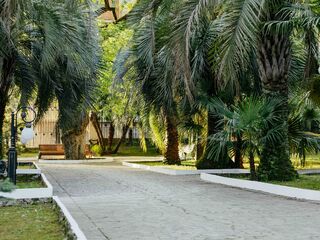 Территория — отель Amra Park-Hotel & Spa Абхазия, фото 100