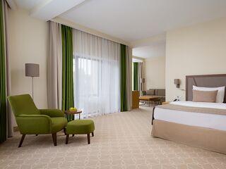 Deluxe 2-местный 1-комнатный — отель Green Resort Hotel & Spa, Кисловодск