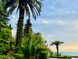 Территория — Абхазия, отель Amra Park-Hotel & Spa, фото 93