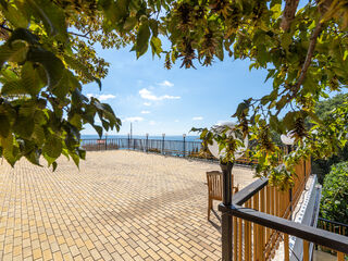 Территория — пансионат Багрипш в Абхазии