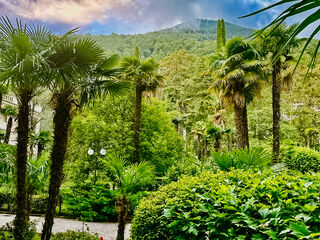 Территория — отель Amra Park-Hotel & Spa Абхазия, фото 95