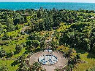 Абхазия, пансионат Самшитовая роща, фото 63