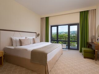 Люкс 2-местный 2-комнатный (вид на сад) — номер в отеле Green Resort Hotel & Spa, Кисловодск