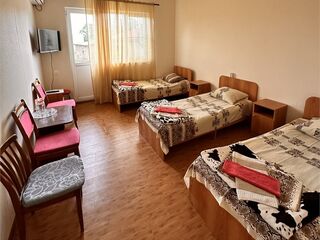 Стандартный 3-местный 1-комнатный — номер в доме отдыха Закавказье в Абхазии