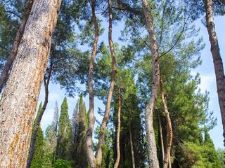 Duglas, отель в Абхазии, фото 14