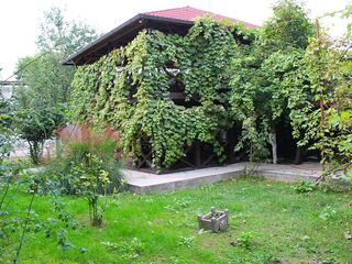 Отель Анхара в Абхазии, фото 6