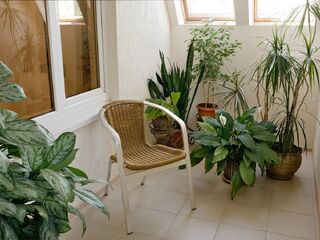 Отель PANinter Hotel & Mineral Spa, Кисловодск, фото 22