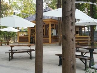 Отель Wellness ParkHotel Gagra Абхазия, фото 30