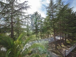 Отель Арабика, Абхазия, фото 12