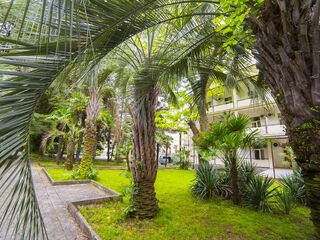Amra Park-Hotel & Spa, отель в Абхазии, фото 14