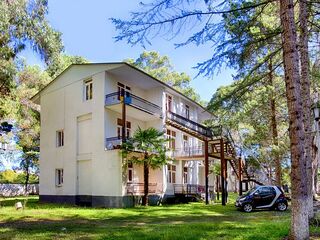 Абхазия, пансионат Эвкалиптовая роща